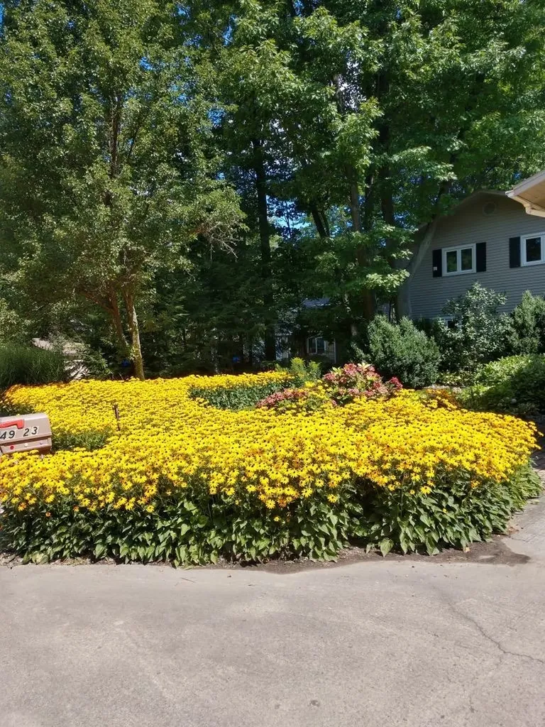 4923 Lakeview Drive Green Lake Township MI 49643