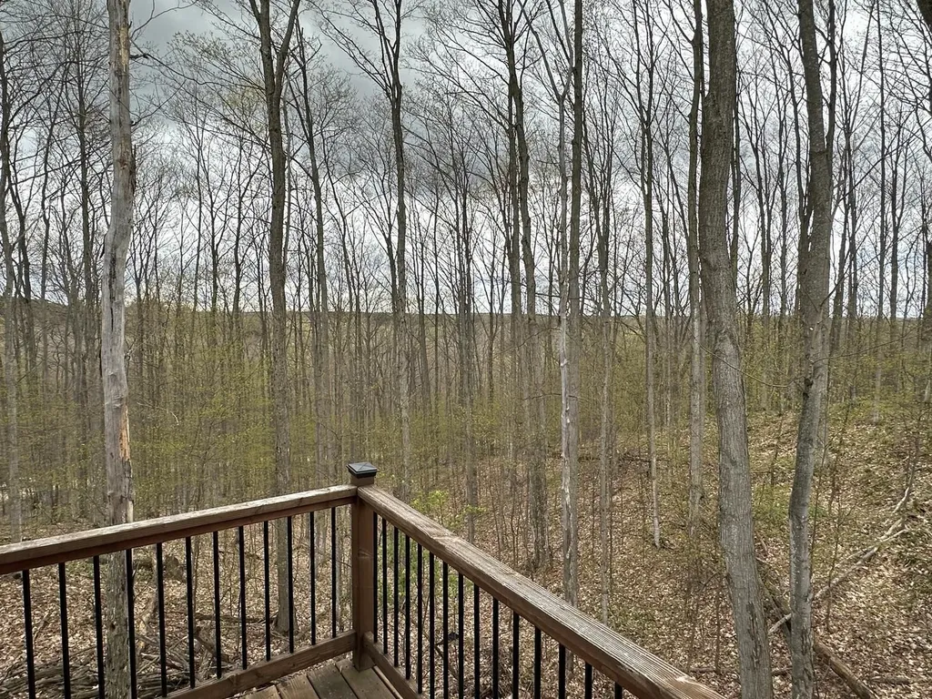 7058 Shade Tree Lane Long Lake Township MI 49685