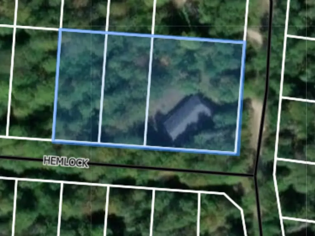 27646 White Cedar Drive St. James Township MI 49782