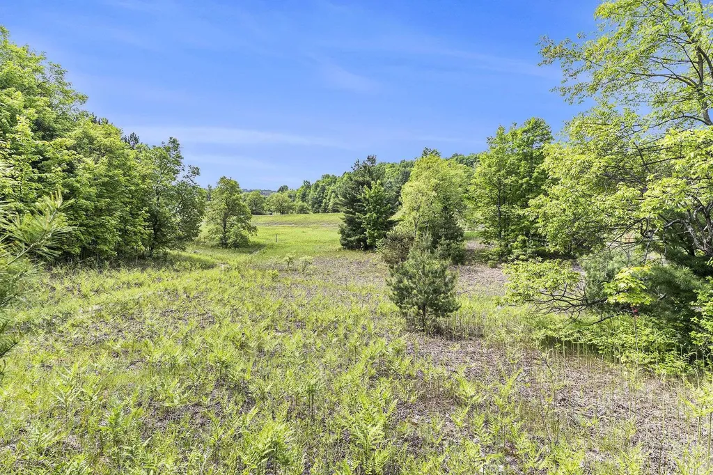 00 1a East Traverse Highway Solon Township MI 49684