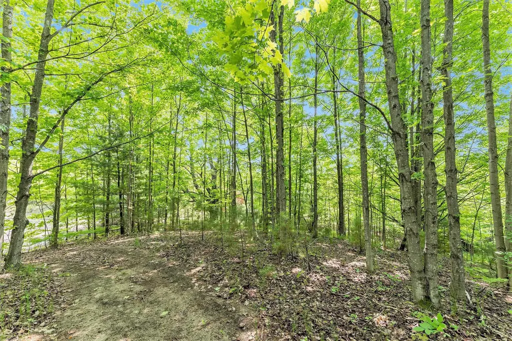 00 1a East Traverse Highway Solon Township MI 49684