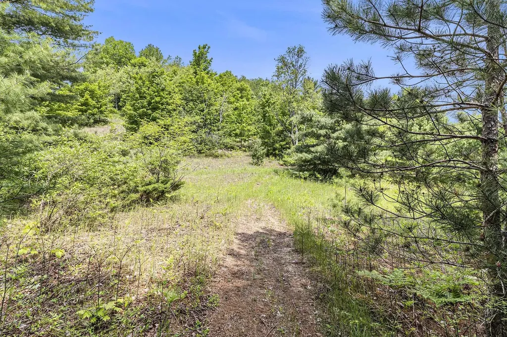 00 1a East Traverse Highway Solon Township MI 49684
