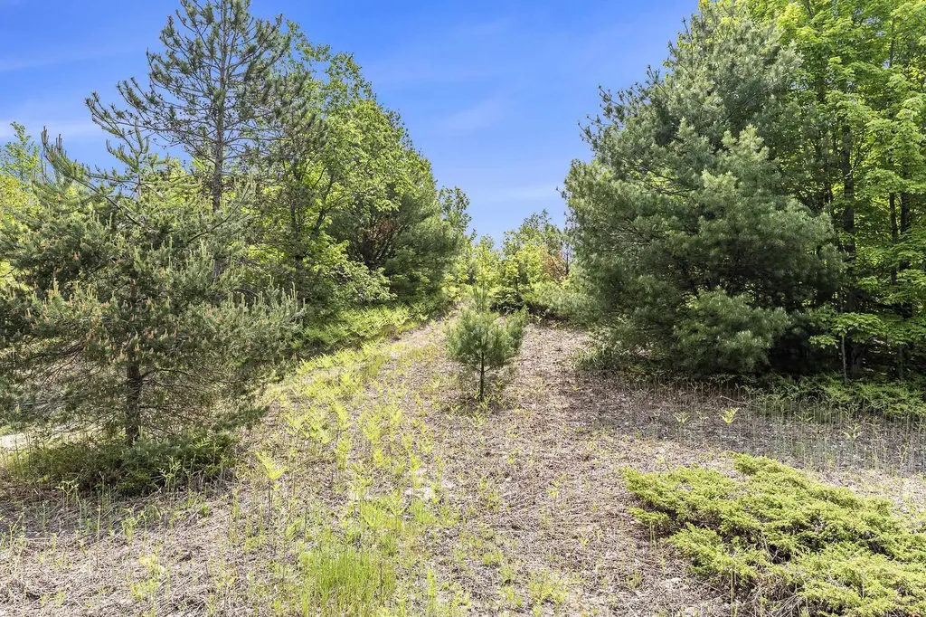 00 1a East Traverse Highway Solon Township MI 49684