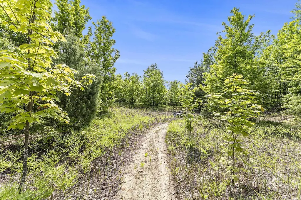 00 1a East Traverse Highway Solon Township MI 49684
