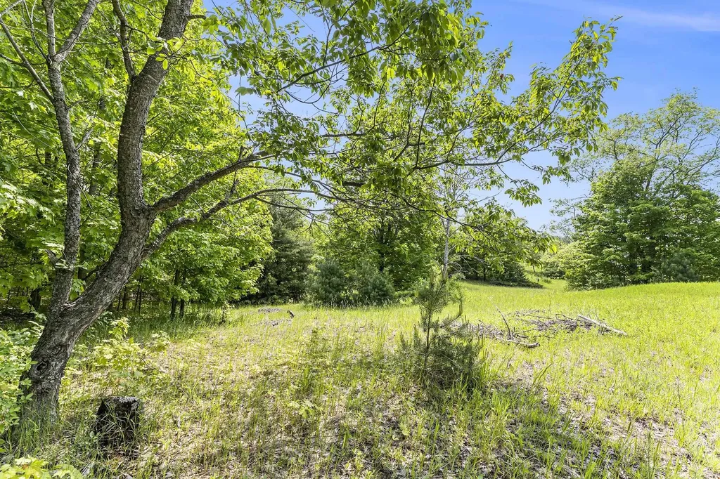 00 1a East Traverse Highway Solon Township MI 49684