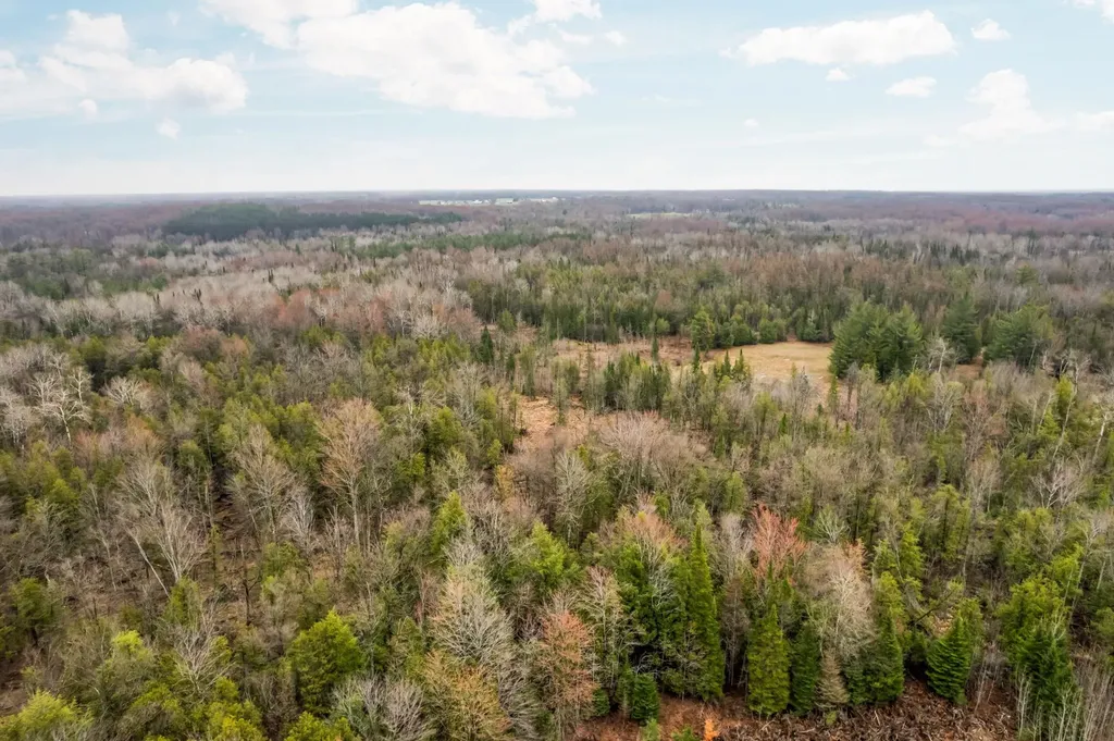 0 Gleaner Hall Road Paradise Township MI 49649