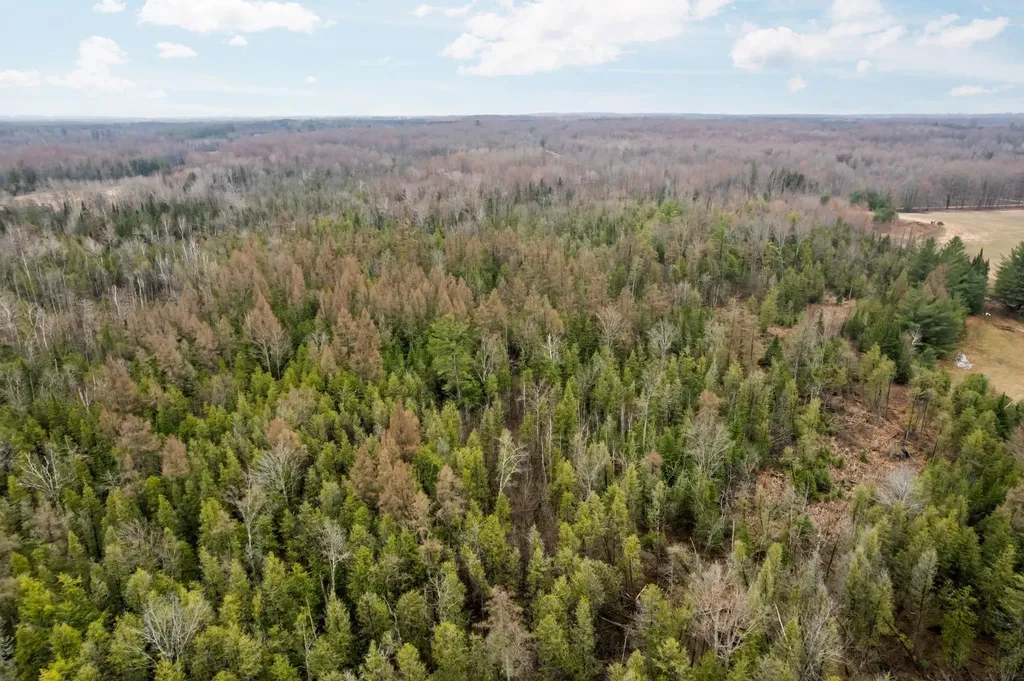 0 Gleaner Hall Road Paradise Township MI 49649