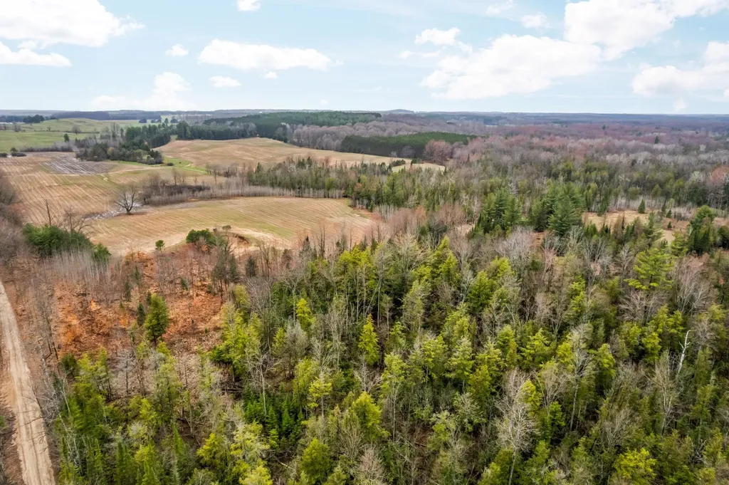 0 Gleaner Hall Road Paradise Township MI 49649