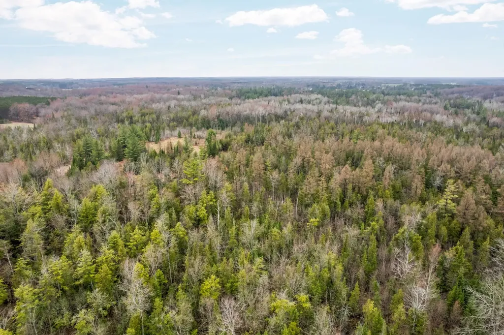 0 Gleaner Hall Road Paradise Township MI 49649