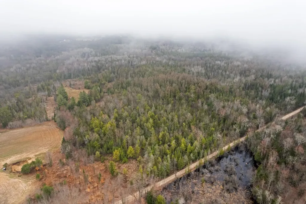 0 Gleaner Hall Road Paradise Township MI 49649