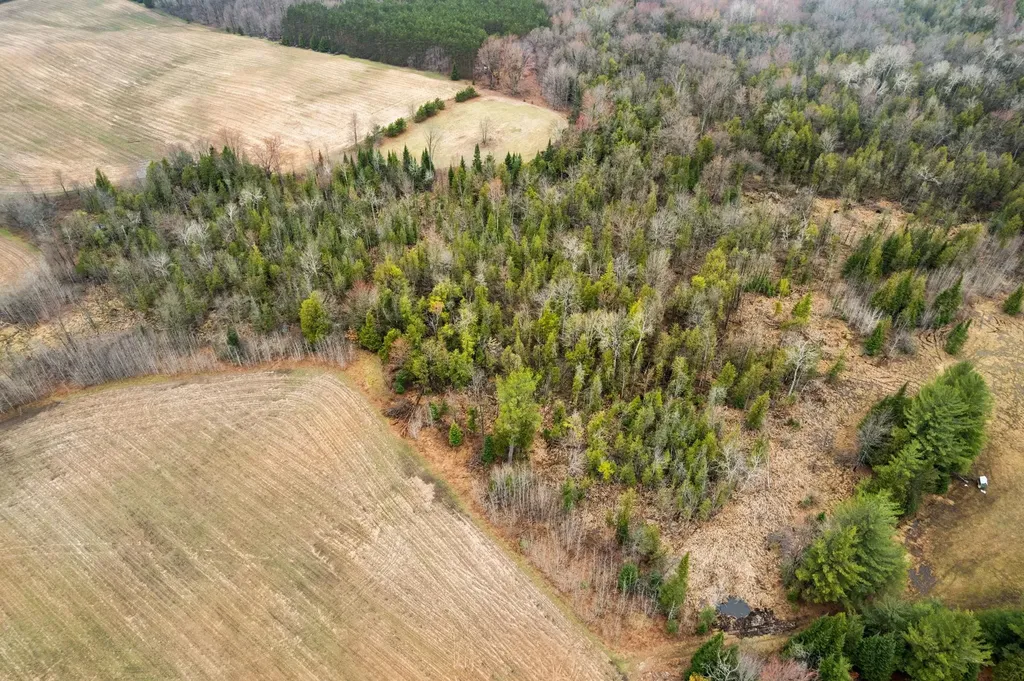0 Gleaner Hall Road Paradise Township MI 49649