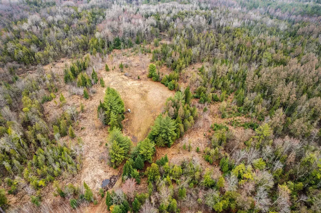 0 Gleaner Hall Road Paradise Township MI 49649