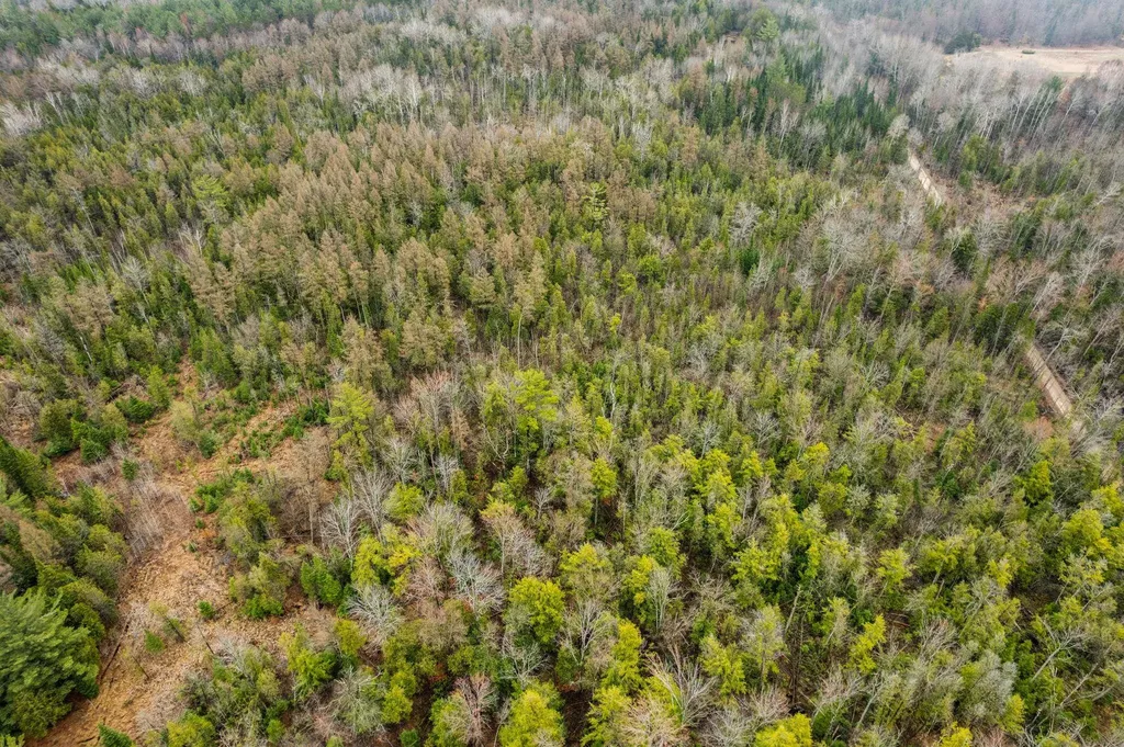 0 Gleaner Hall Road Paradise Township MI 49649
