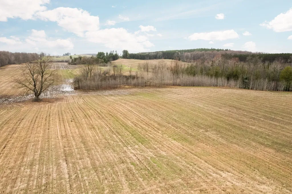 0 Gleaner Hall Road Paradise Township MI 49649