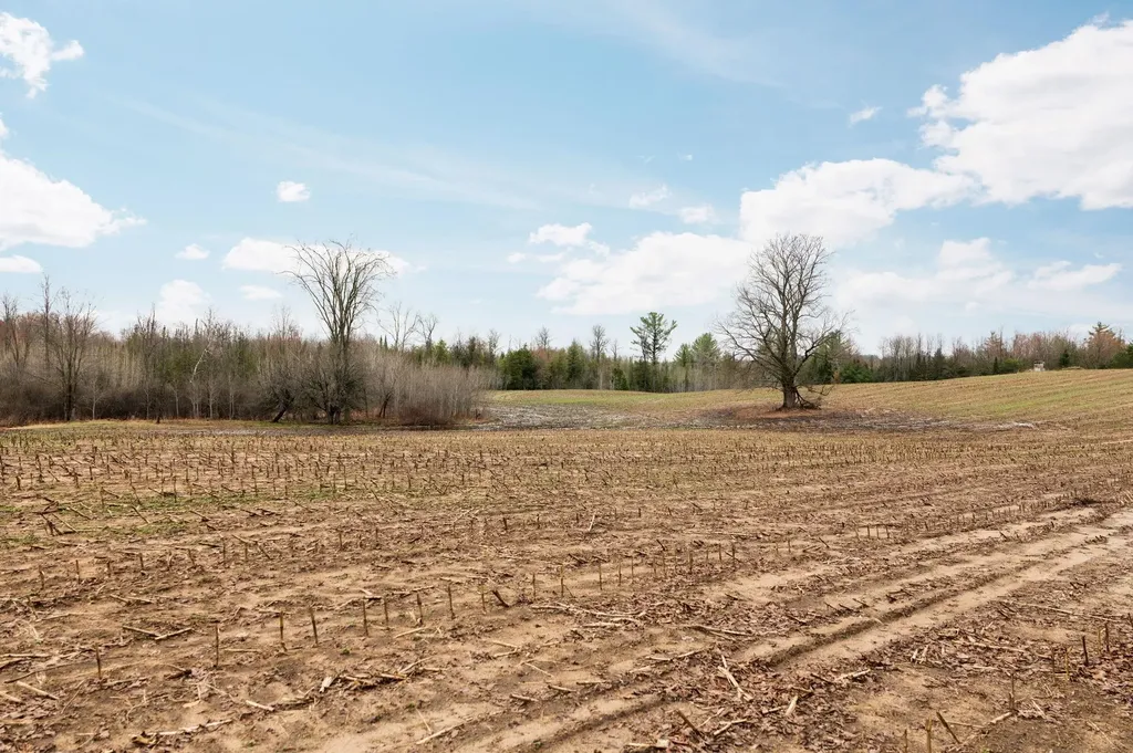 0 Gleaner Hall Road Paradise Township MI 49649