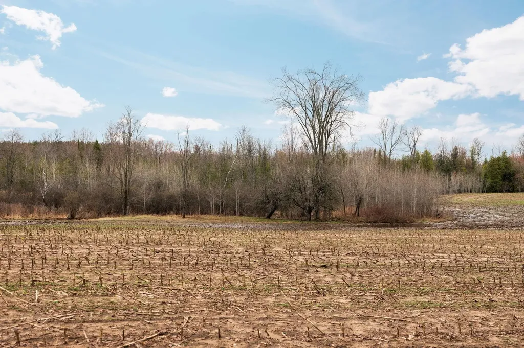 0 Gleaner Hall Road Paradise Township MI 49649