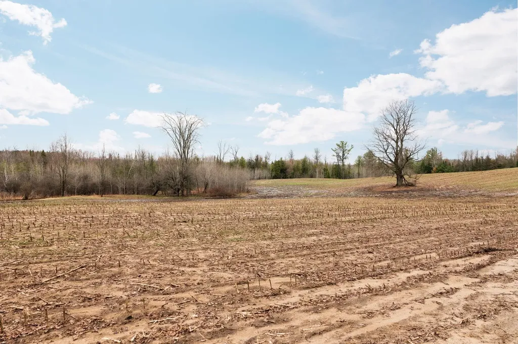 0 Gleaner Hall Road Paradise Township MI 49649