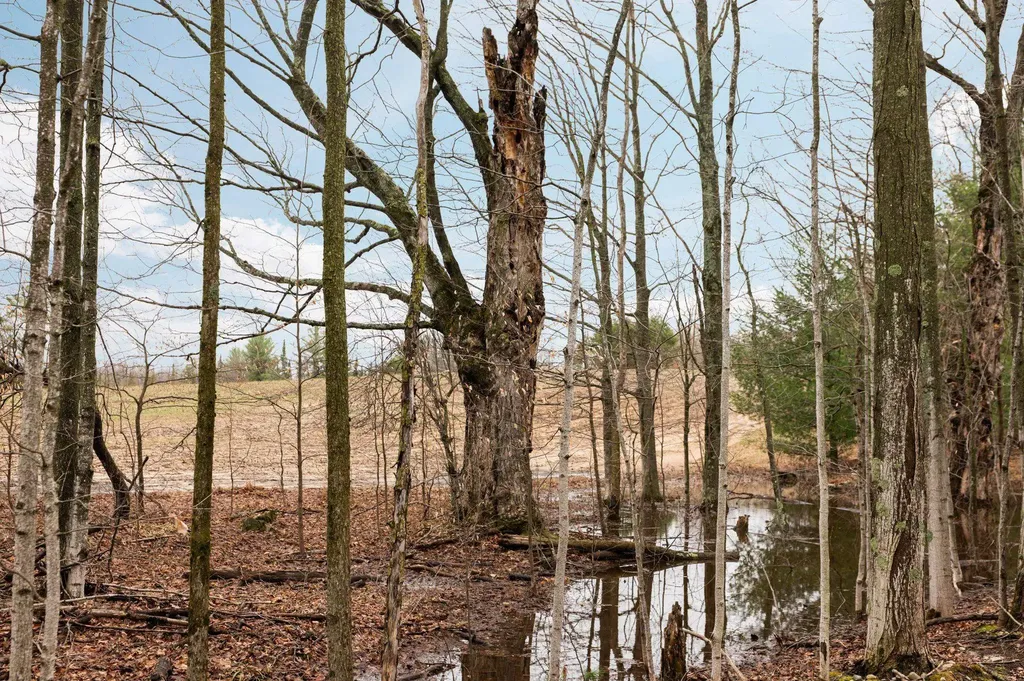 0 Gleaner Hall Road Paradise Township MI 49649