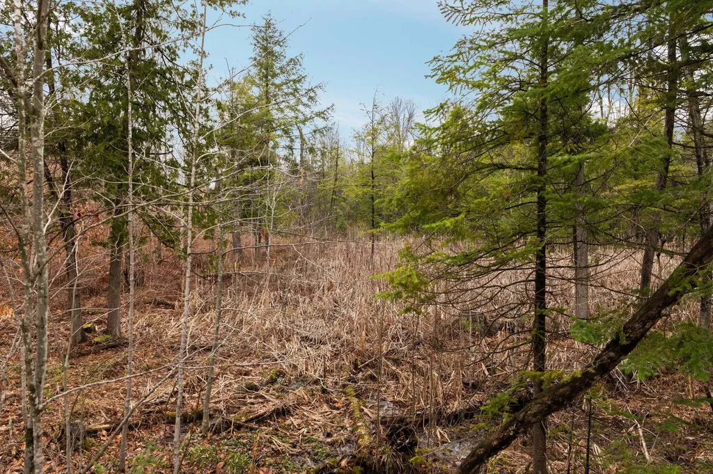 0 Gleaner Hall Road Paradise Township MI 49649