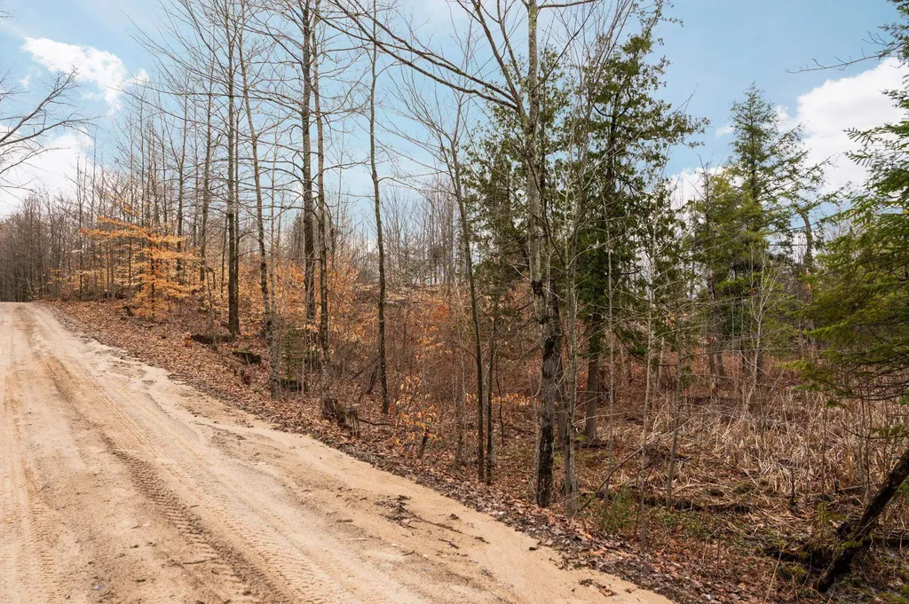 0 Gleaner Hall Road Paradise Township MI 49649