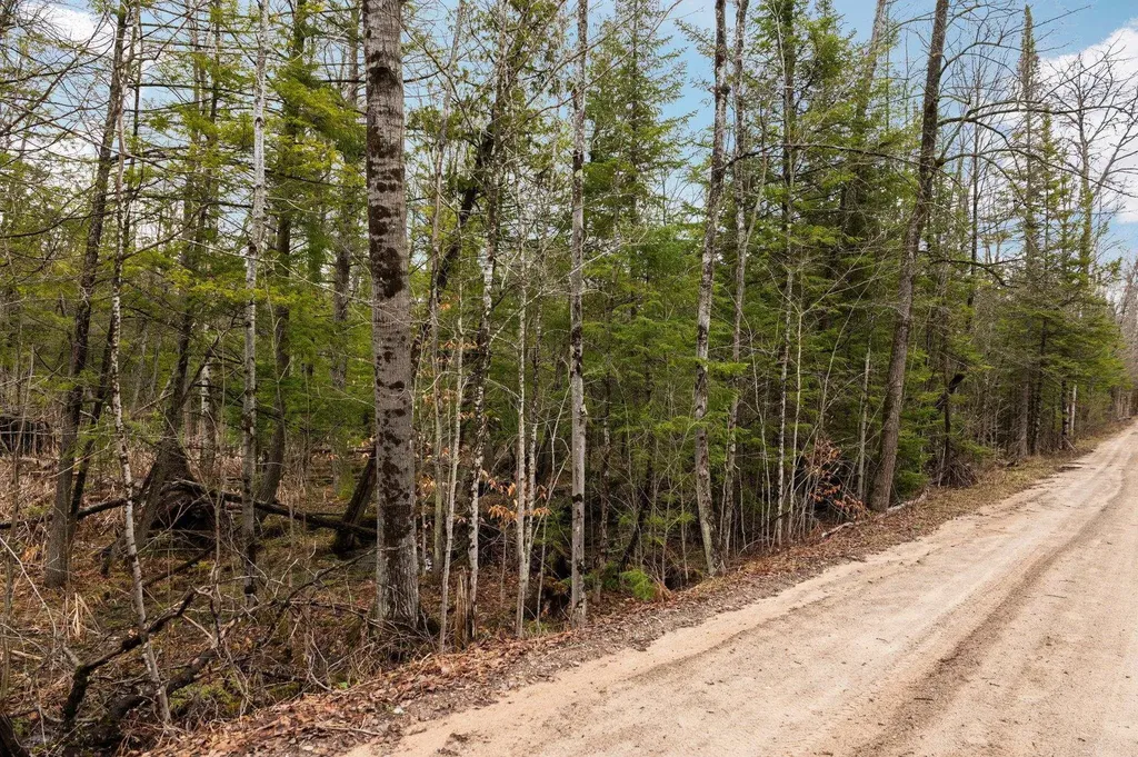 0 Gleaner Hall Road Paradise Township MI 49649