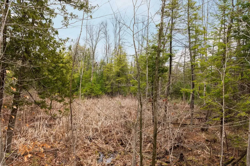 0 Gleaner Hall Road Paradise Township MI 49649