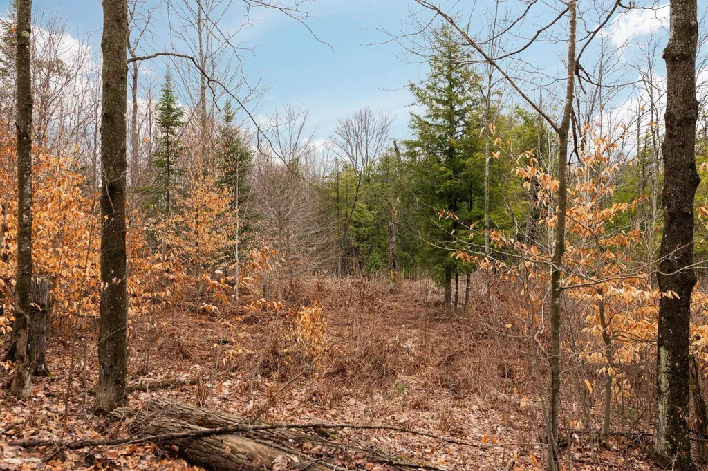 0 Gleaner Hall Road Paradise Township MI 49649