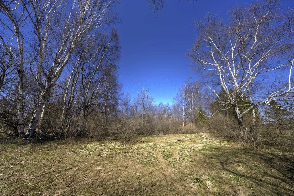 N Manitou Trail Leland Township MI 49654