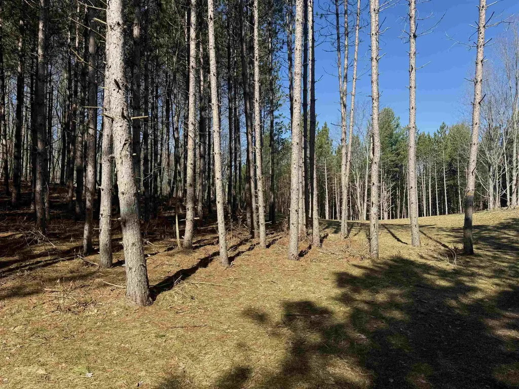 3041 Dockery Road, NW Kalkaska Township MI 49690