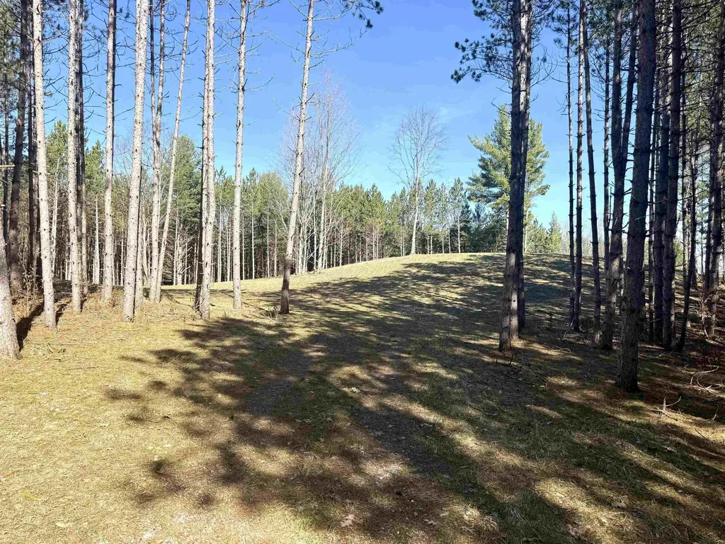 3041 Dockery Road, NW Kalkaska Township MI 49690