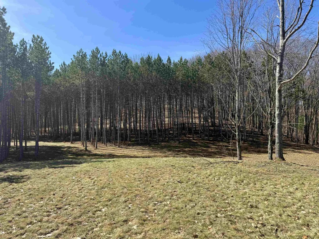 3041 Dockery Road, NW Kalkaska Township MI 49690