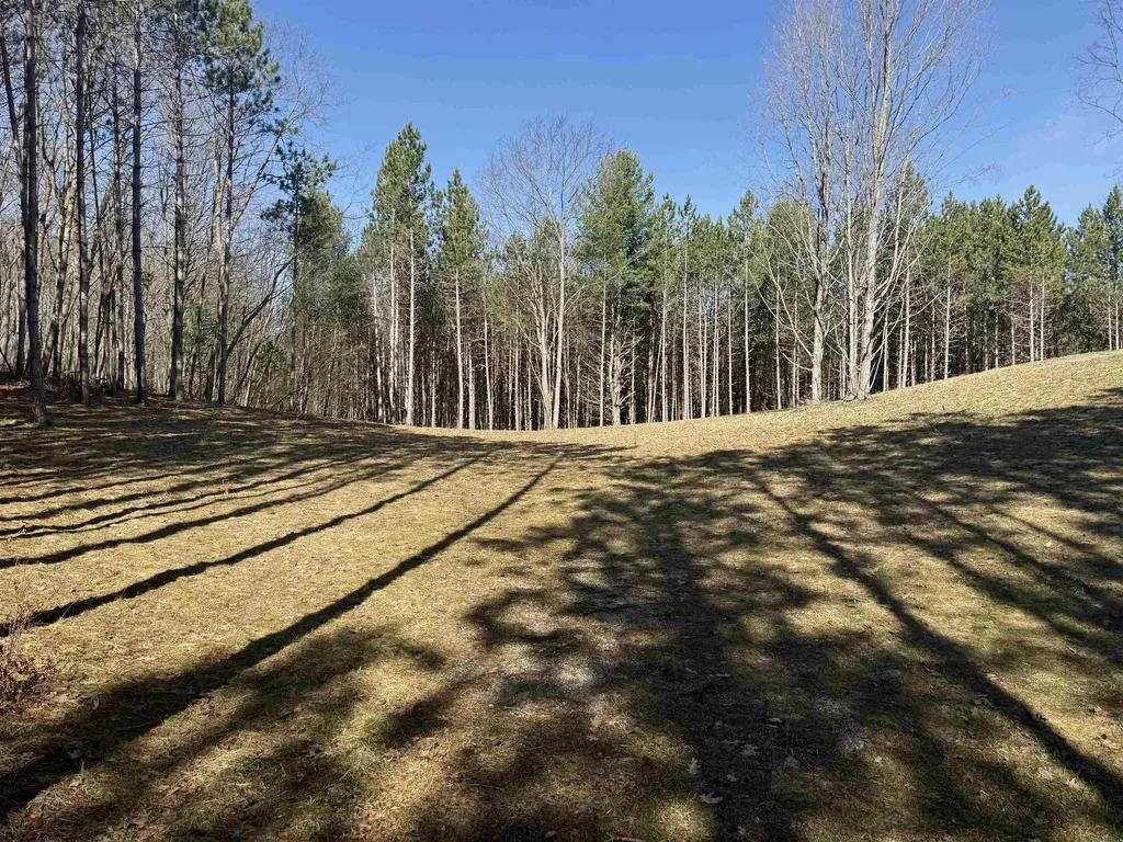 3041 Dockery Road, NW Kalkaska Township MI 49690