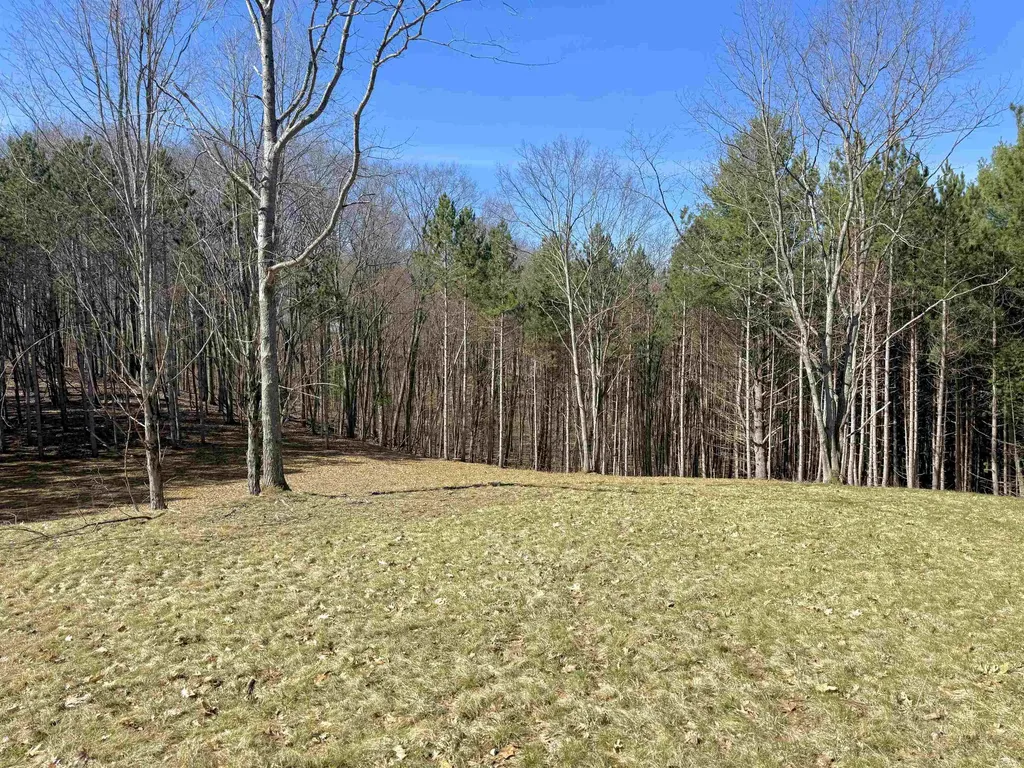 3041 Dockery Road, NW Kalkaska Township MI 49690