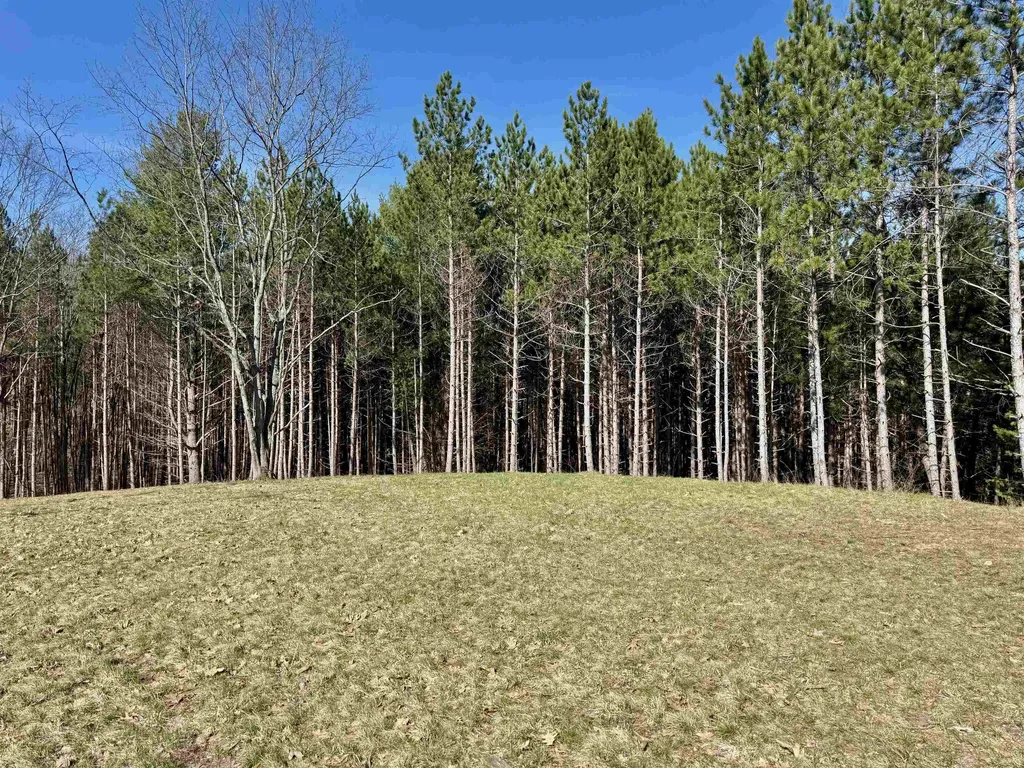 3041 Dockery Road, NW Kalkaska Township MI 49690