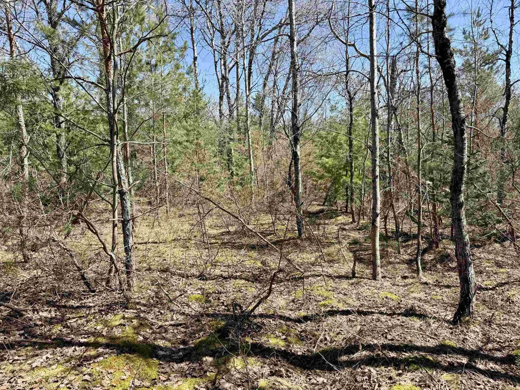 V/l Johnson Road Mancelona Township MI 49659