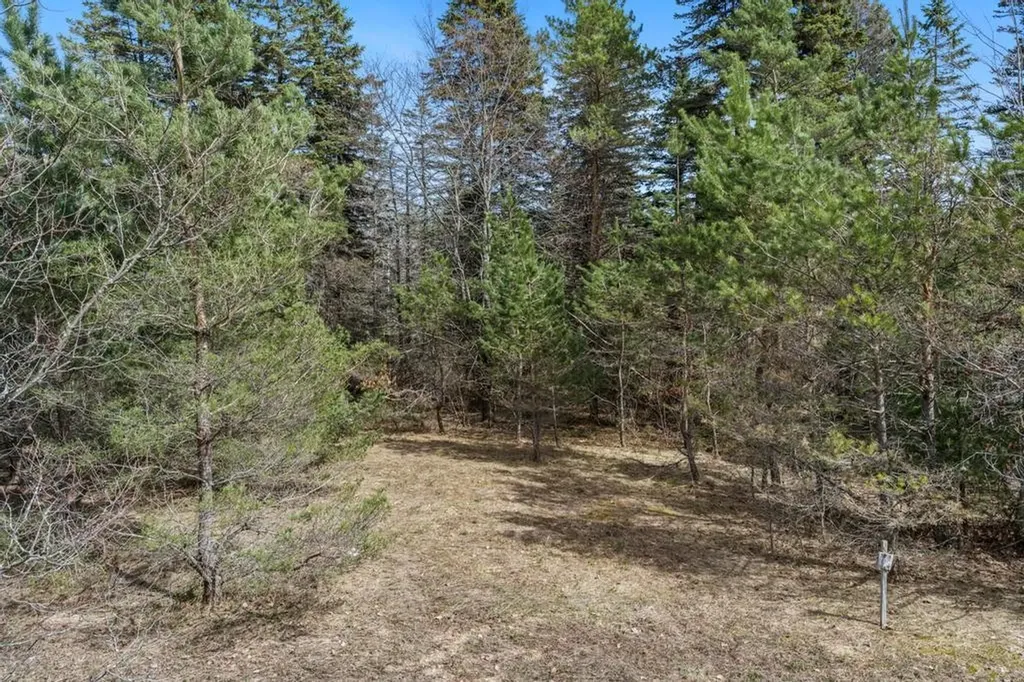 V/l Johnson Road Mancelona Township MI 49659