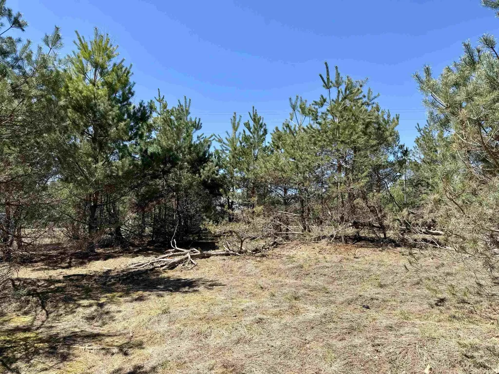 V/l Johnson Road Mancelona Township MI 49659