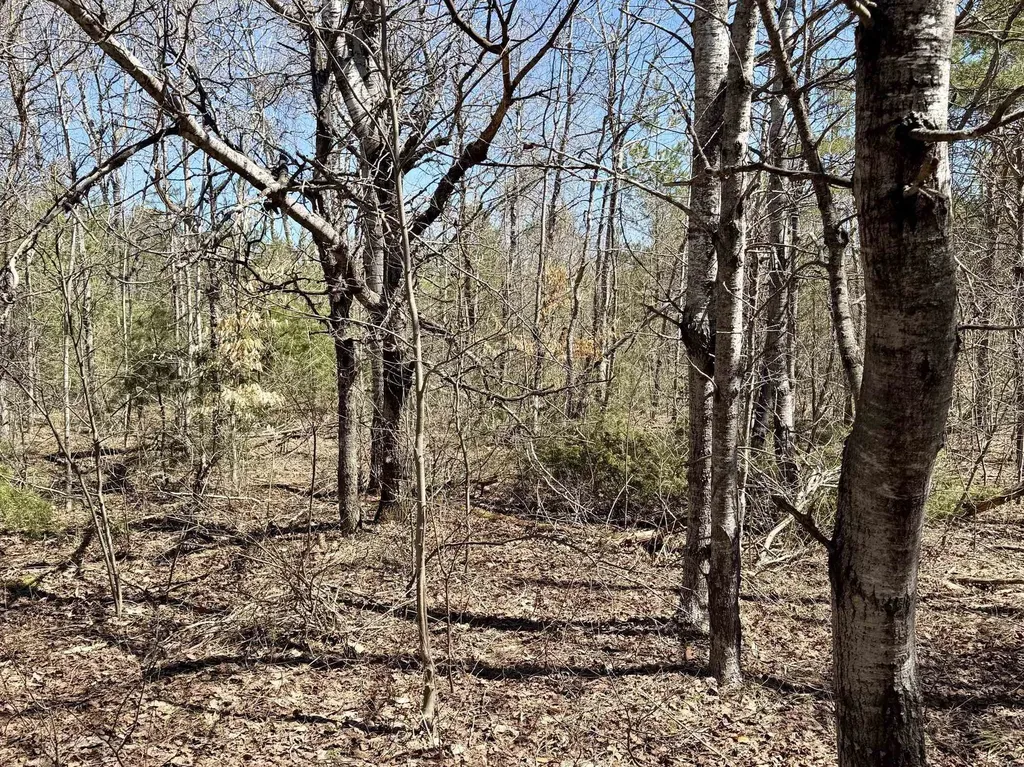 V/l Johnson Road Mancelona Township MI 49659