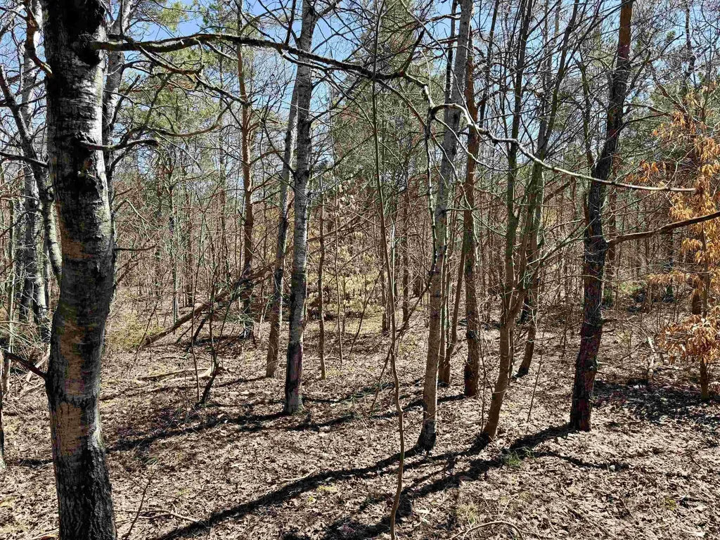 V/l Johnson Road Mancelona Township MI 49659