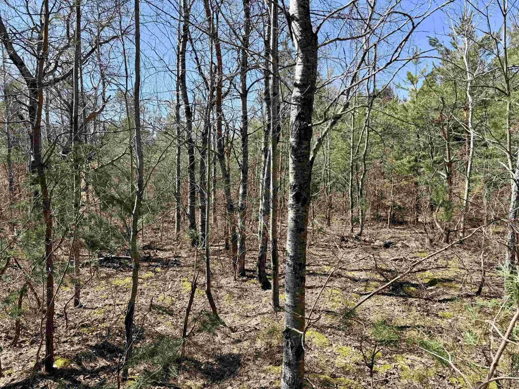V/l Johnson Road Mancelona Township MI 49659