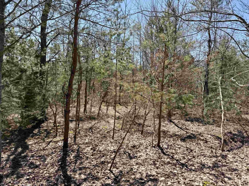 V/l Johnson Road Mancelona Township MI 49659