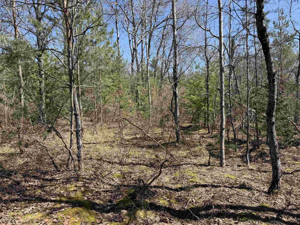 V/l Johnson Road Mancelona Township MI 49659