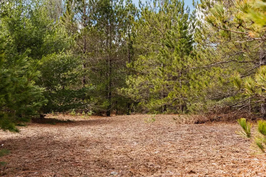 #1 Old Cabin Drive Green Lake Township MI 49634