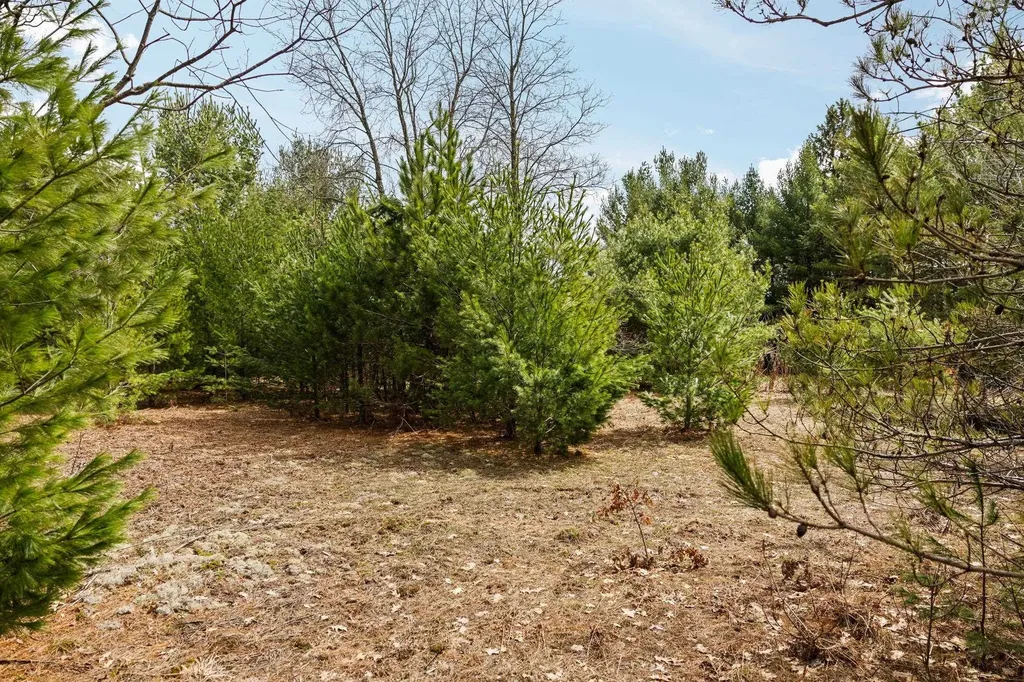 #1 Old Cabin Drive Green Lake Township MI 49634