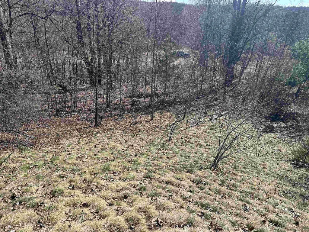 Lot 2 Fox Trail Kearney Township MI 49615