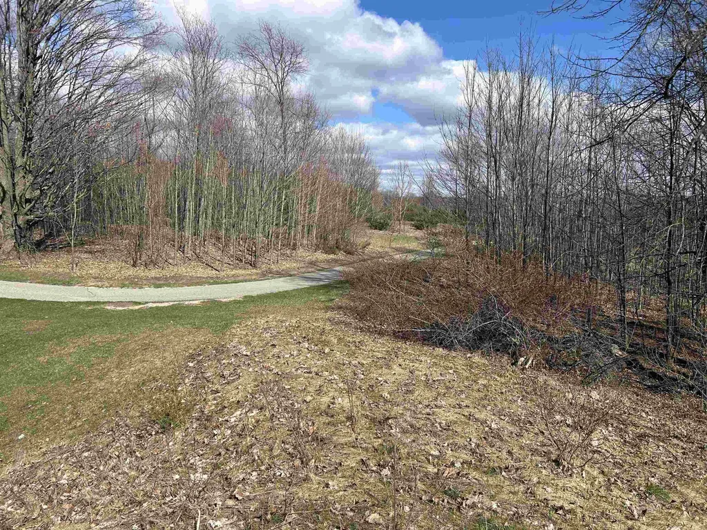 Lot 2 Fox Trail Kearney Township MI 49615