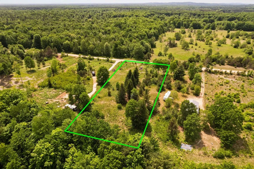 Parcel D N Carmean Road Inland Township MI 49643