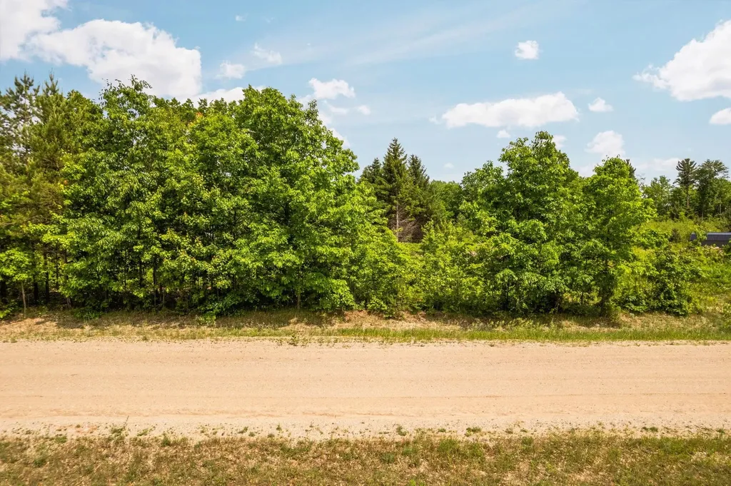 Parcel D N Carmean Road Inland Township MI 49643