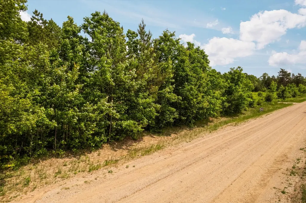 Parcel D N Carmean Road Inland Township MI 49643