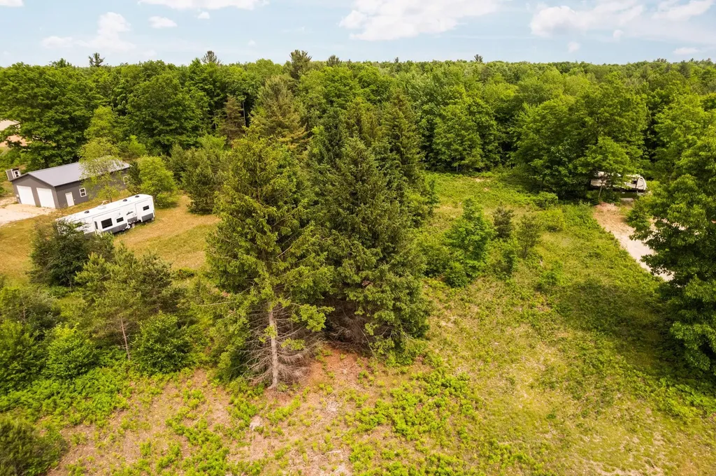 Parcel D N Carmean Road Inland Township MI 49643